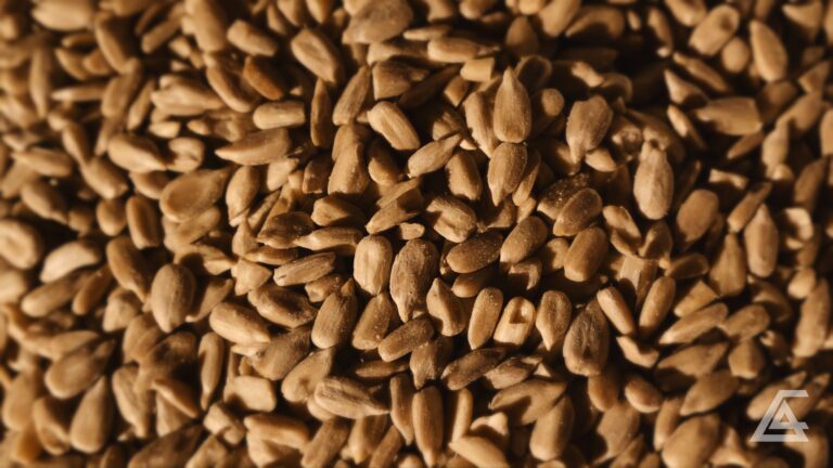 Bauernladen-Walter__1.4.1