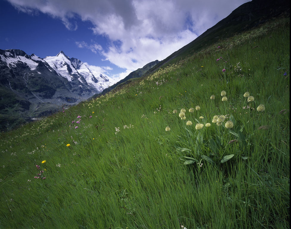 Der Nationalpark Hohe Tauern