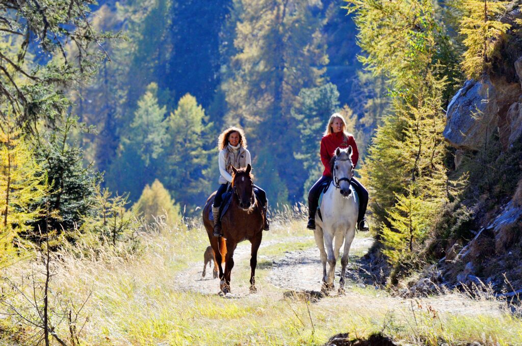 (c) Landgut Moserhof _ Wanderreit-Tour